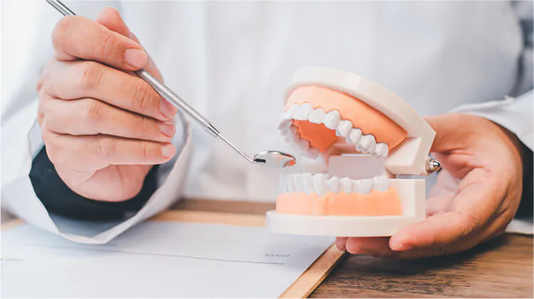 健康な歯で過ごすための予防歯科